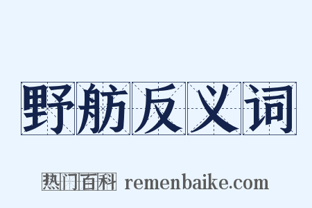 野舫反义词是什么意思的图片